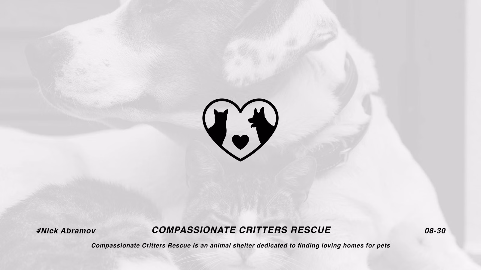 Compassionate Critters Rescue logo — a heart containing the silhouettes of a cat and a dog