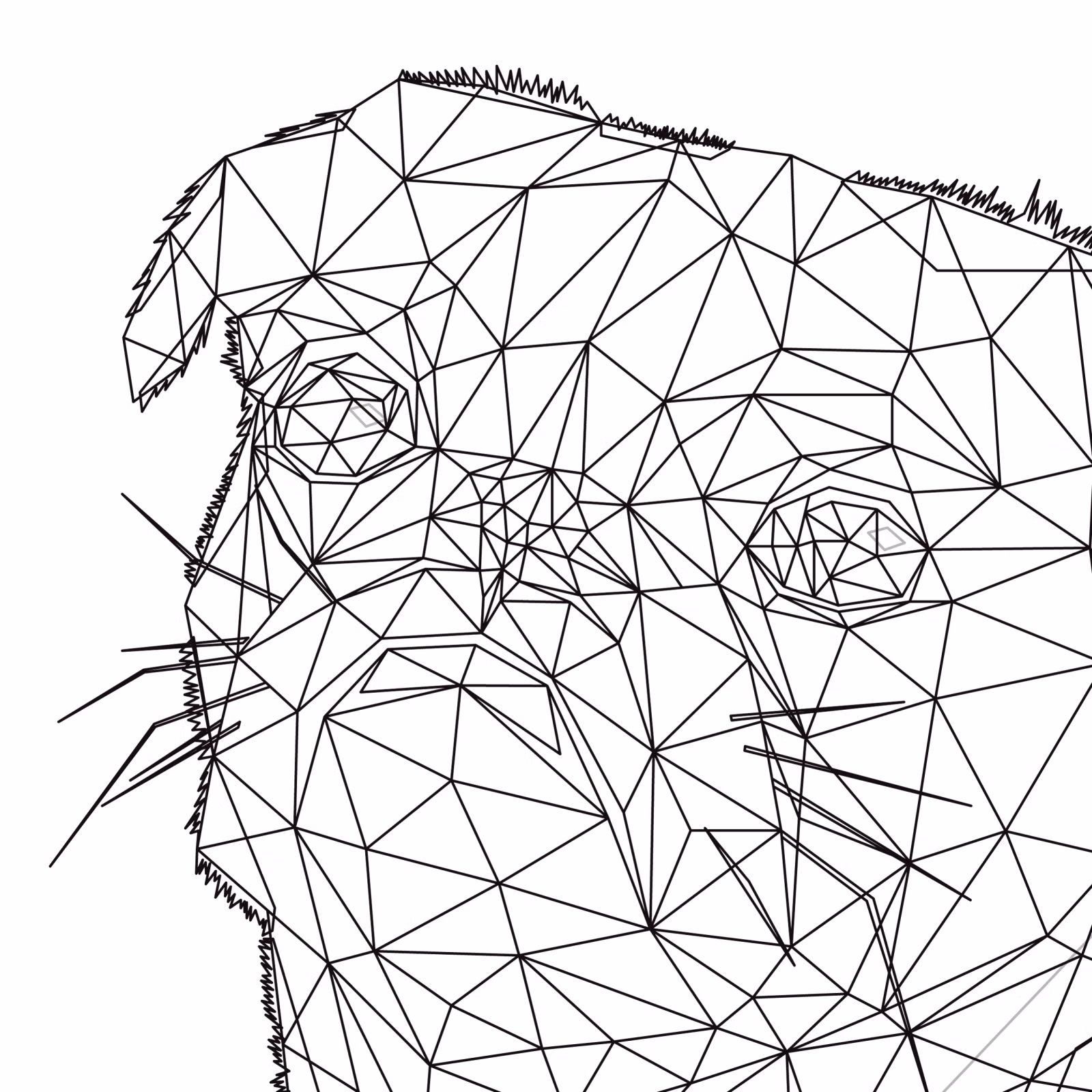 Close-up wireframe triangle mesh of a pug's face, showing the underlying low-poly structure